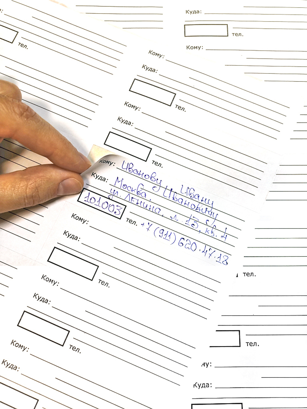 ПОЛУЧАТЕЛЬ: адресный бланк [самоклеящийся]