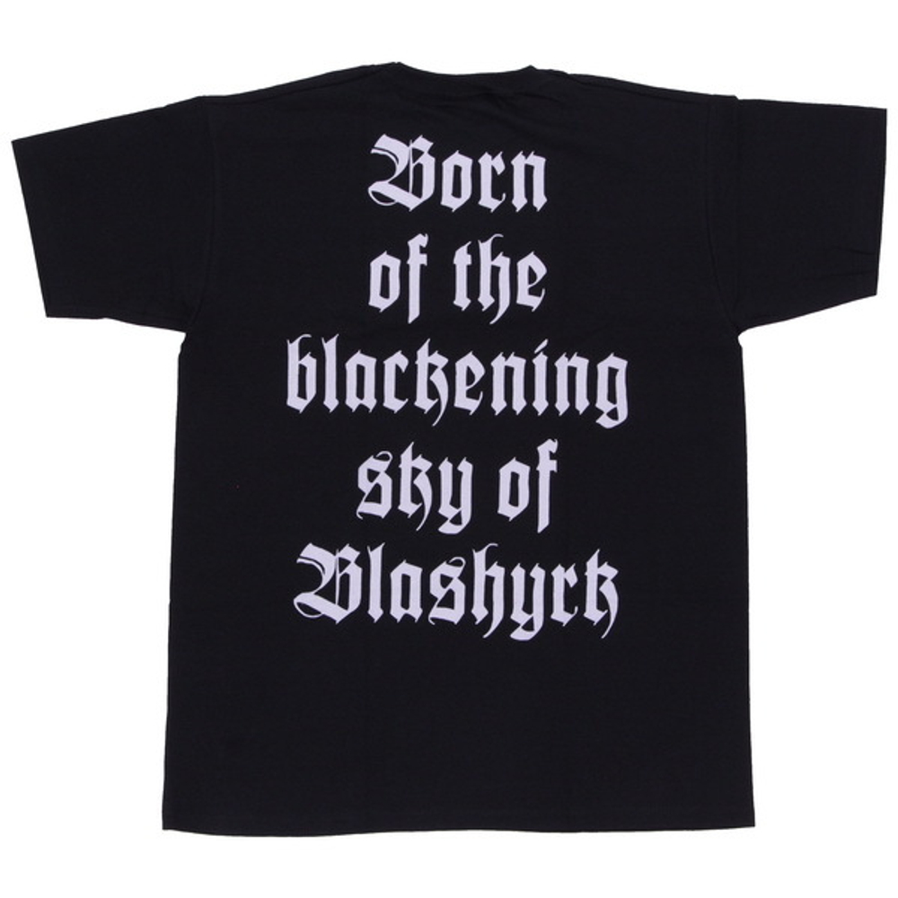 Футболка Immortal Pure Holocaust