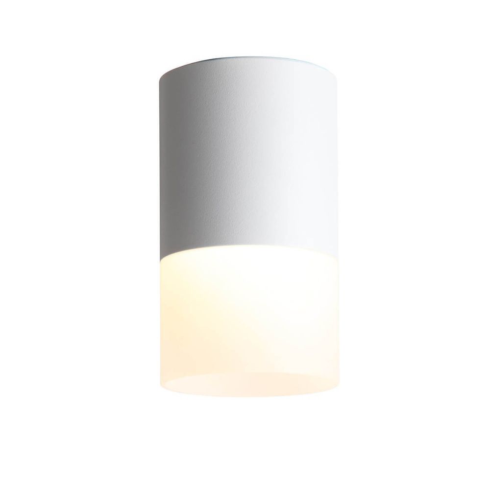 ST100.542.10 Светильник потолочный Белый LED 1*10W 4000K 780Lm Ra&amp;gt;80 120° D78xH135 170-240V Накладные светильники