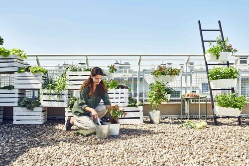 Культиватор ручной CELLFAST PASTEL (синий)