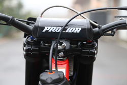 Мотоцикл кроссовый эндуро PROCIDA 2020 PR300