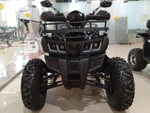 Квадроцикл (комплект для сборки) Yacota WARRIOR 200
