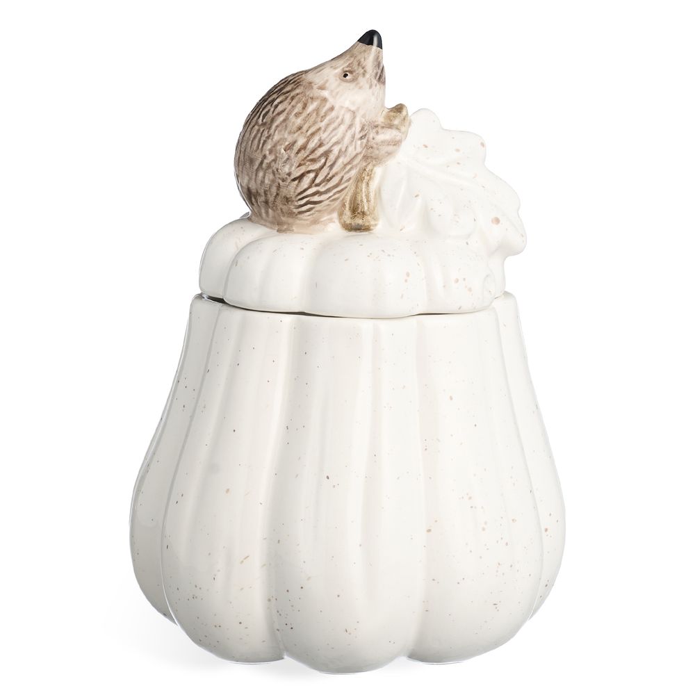 БАНКА С КРЫШКОЙ 13Х13Х18,5 СМ