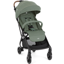 Прогулочная коляска Joie Tourist