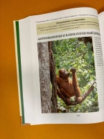 Антропология