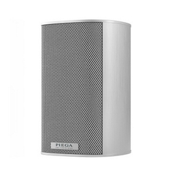 Полочная акустика Piega Ace 30 Silver Aluminum