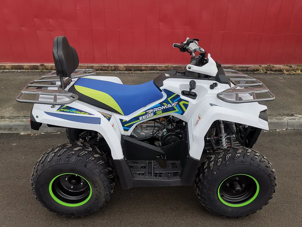 Квадроцикл PROMAX RENEGADE 280 LUX (2025)