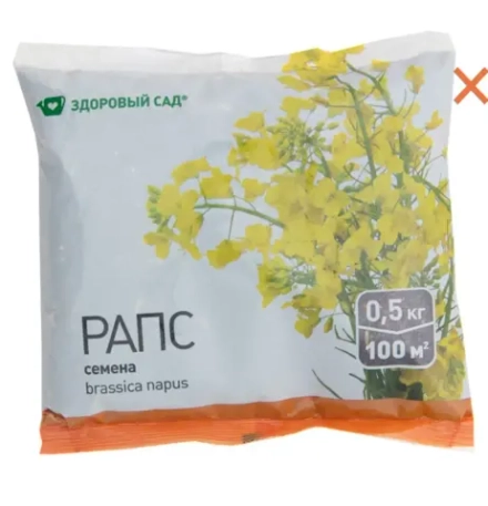 Рапс