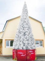 Уличная елка ствольная "Альпийская белая ель" (пвх) 11 м