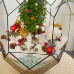 Готовый новогодний флорариум с елью Цефей