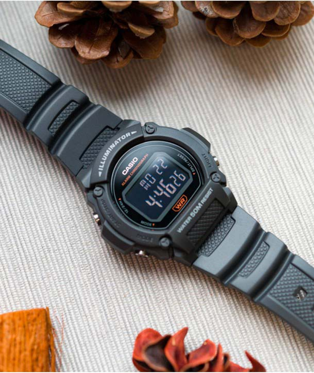 Часы Casio W-219H-8BVEF
