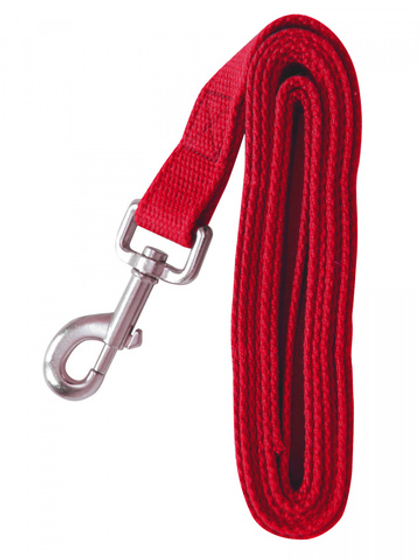ZOONIK Поводок брезентовый 20 мм, длина 2 метра, красный
