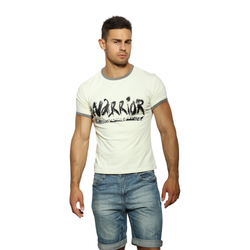 Мужская футболка бежевая с принтом Scandaloso Воин 050340m-EP