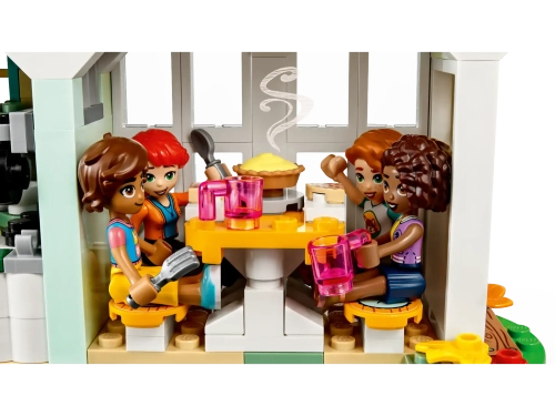 Конструктор LEGO Friends 41730 Дом Отэм
