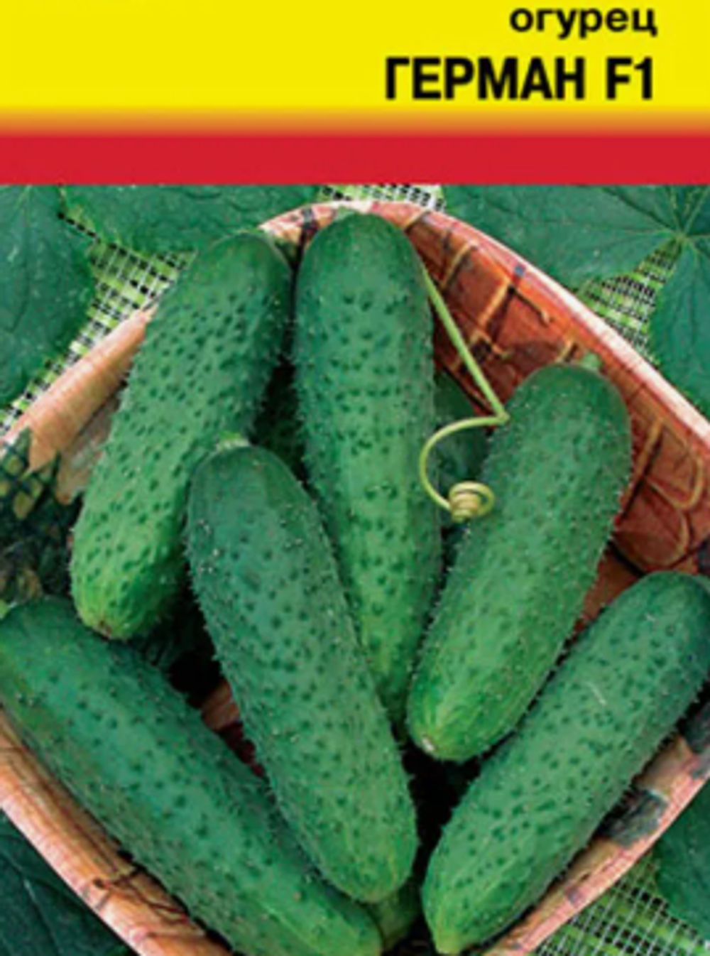 Огурцы Герман
