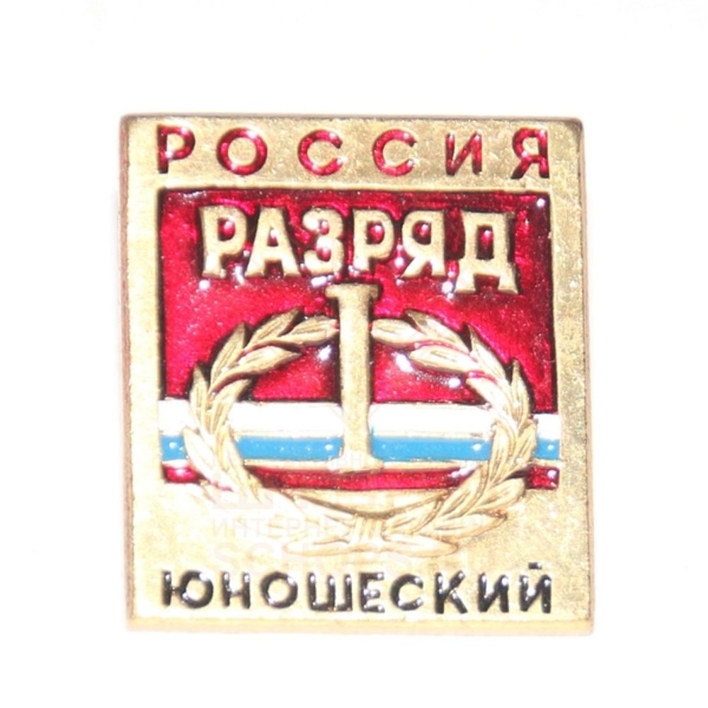 Нагрудный знак Россия I разряд юношеский, металл