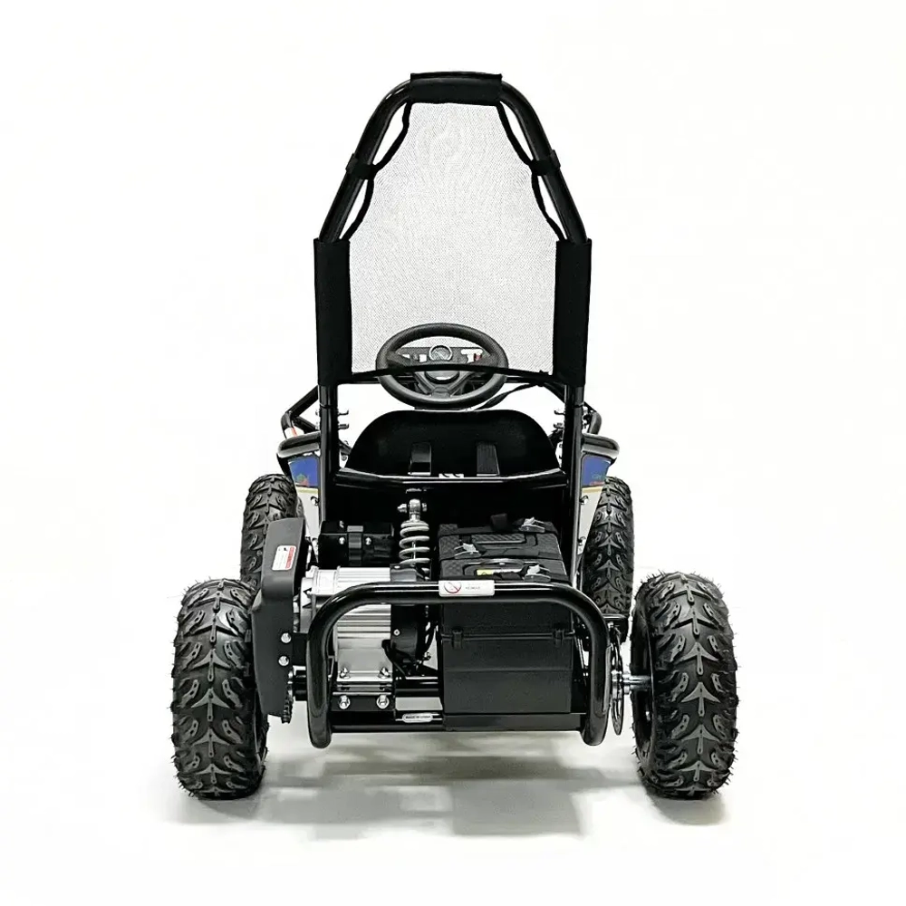 Багги Green Camel Намиб T006 (48V 1000W R6 Цепь) аморт
