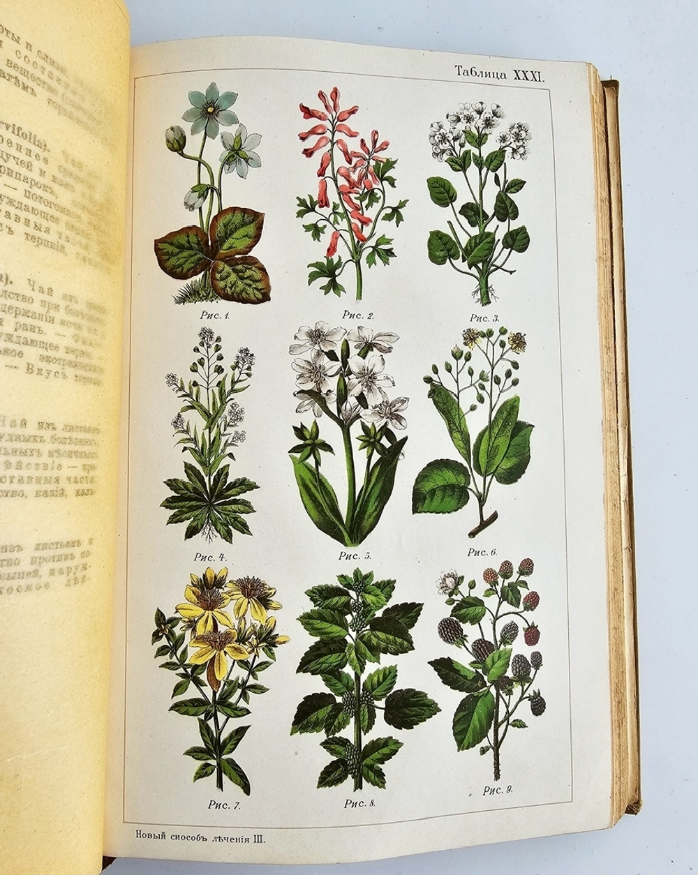 "Новый способ лечения. Лечение целебными силами природы."  М. Платен. 1906 г.