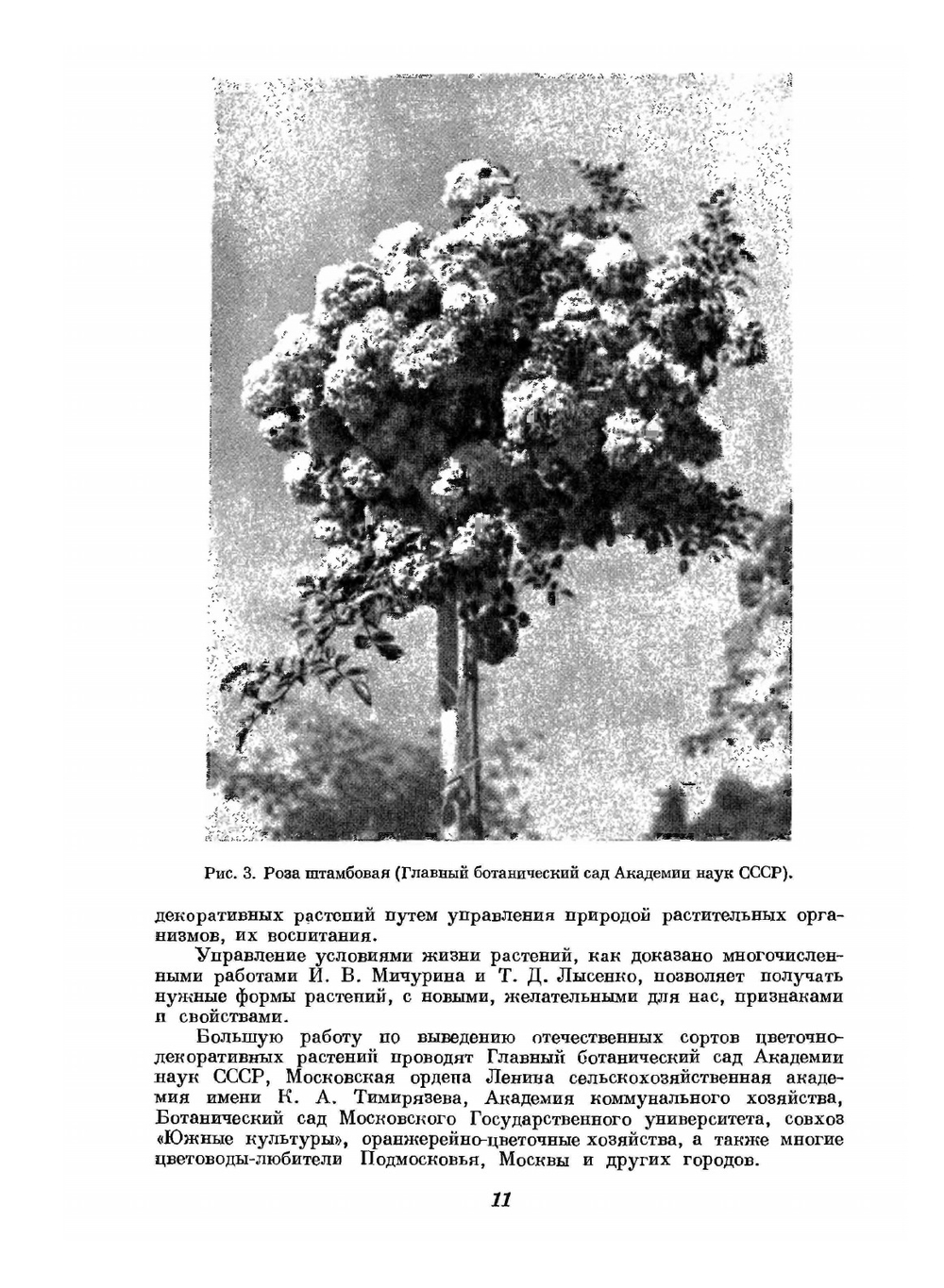 Цветоводство. Часть 1 | Г.Е. Киселев