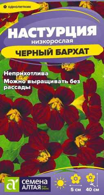 Настурция Черный бархат 0,5 гр (Семена Алтая)