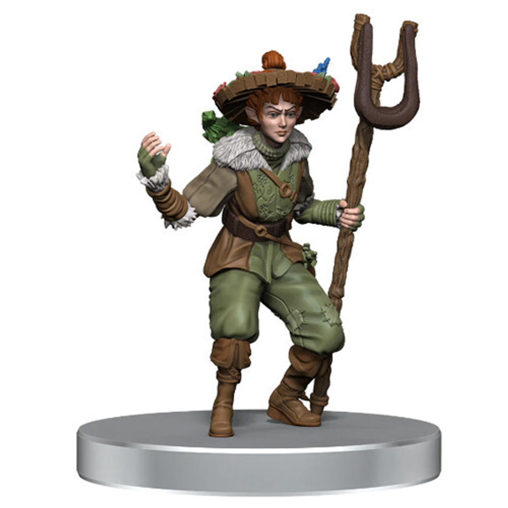 D&D Icons of the Realms: Dragonlance - Warrior Set