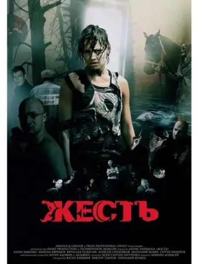 Жесть (2006) (КИНО USB)