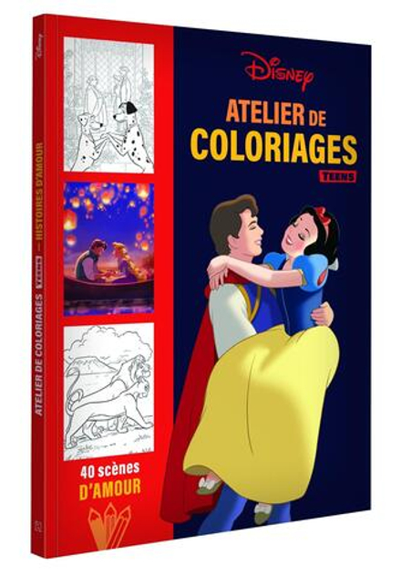 Hachette  раскраска по номерам  DISNEY TEENS - Atelier de coloriages - Histoires d'amour