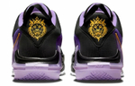 Кроссовки Nike Lebron Witness 7 Ep