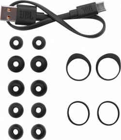Беспроводные наушники JBL Tour Pro+ TWS