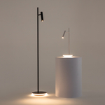 Напольный светильник (торшер) Maytoni Z010FL-L8B3K