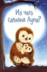 Из чего сделана Луна?
