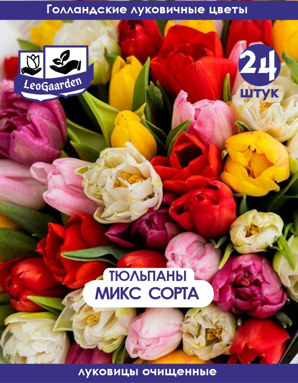 Тюльпан Луковица, Микс сортов, 24шт