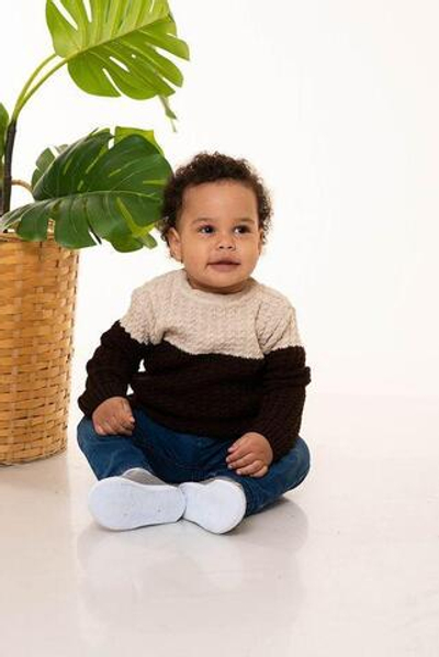 Свитер для мальчика (р.24/74-80, коричневый )