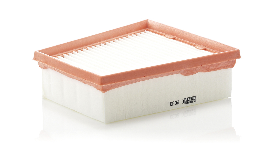 MANN-FILTER - C2030-MNF - Air Filter