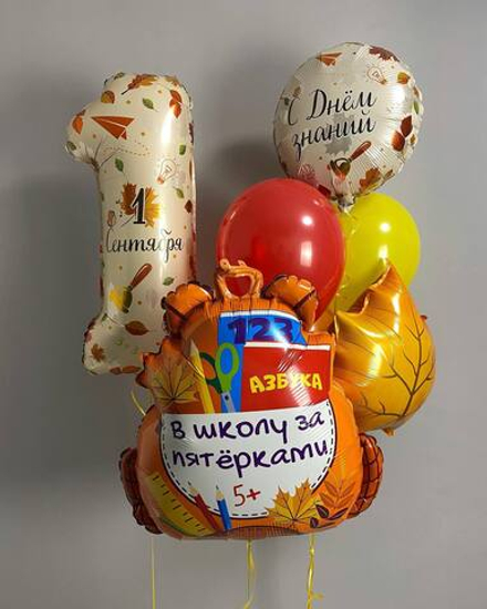 Набор шаров "В школу за пятерками"