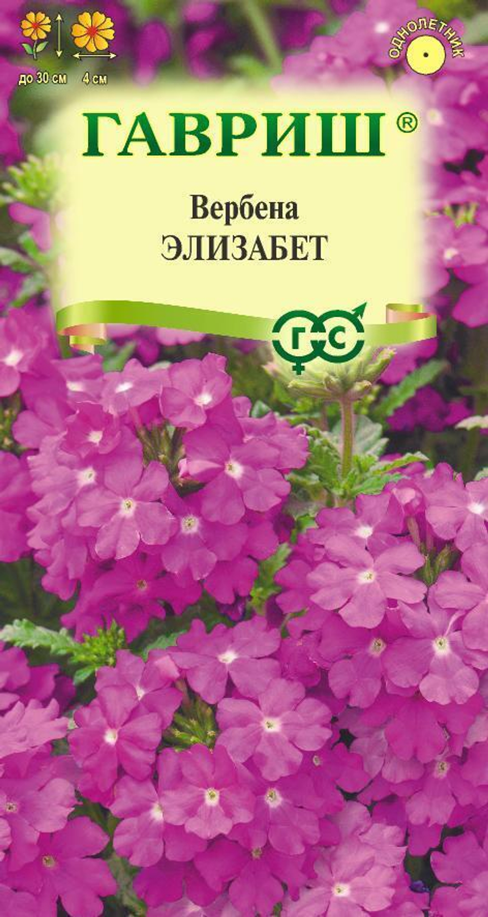 elizabet_mini4
