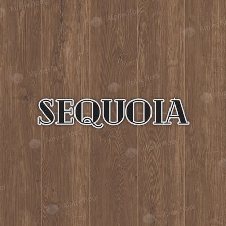 SEQUOIA