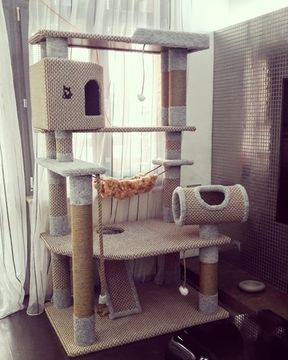 Дом для кошки И-188 (мейн-кун)