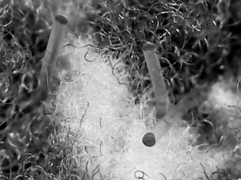 Боннет абразивный HB13