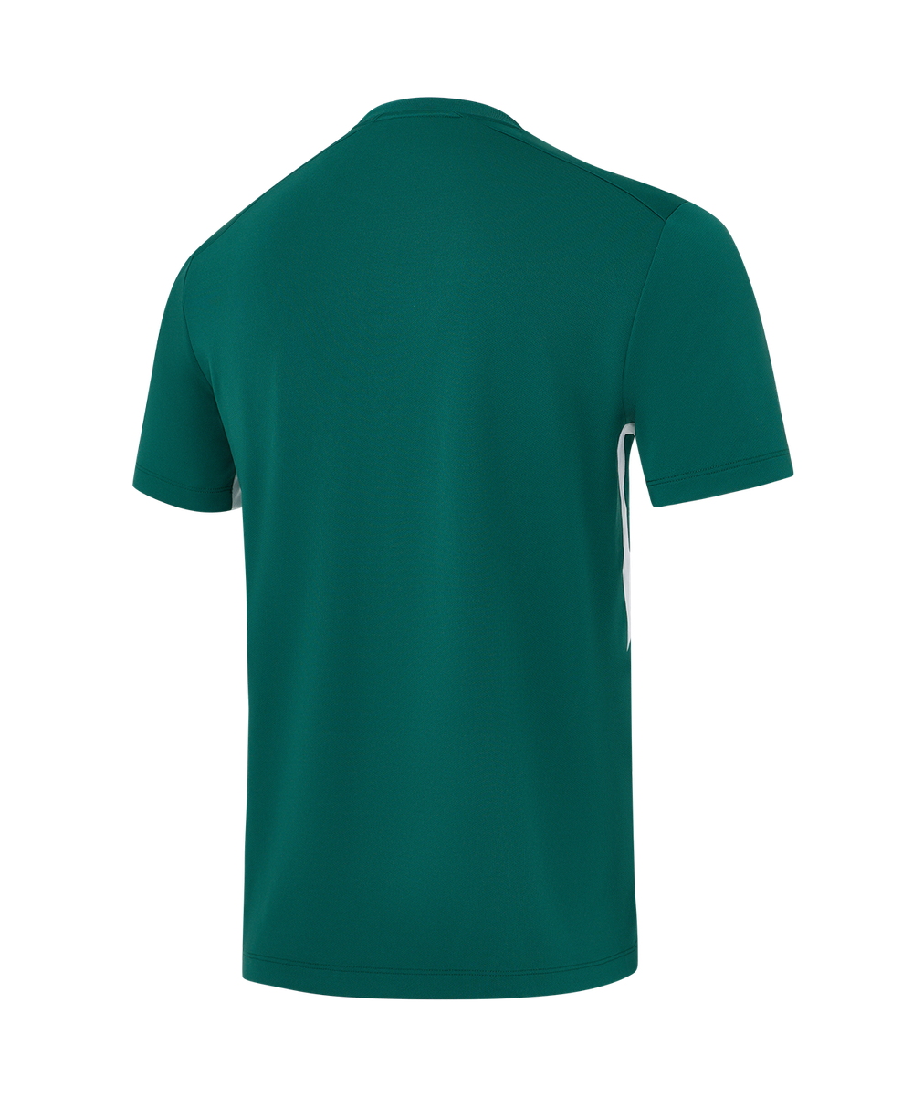 Футболка тренировочная Jogel DIVISION PerFormDRY Training Poly T-shirt, темно-зеленый N4