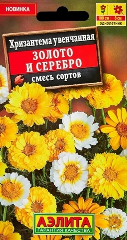 Хризантема Золото и серебро