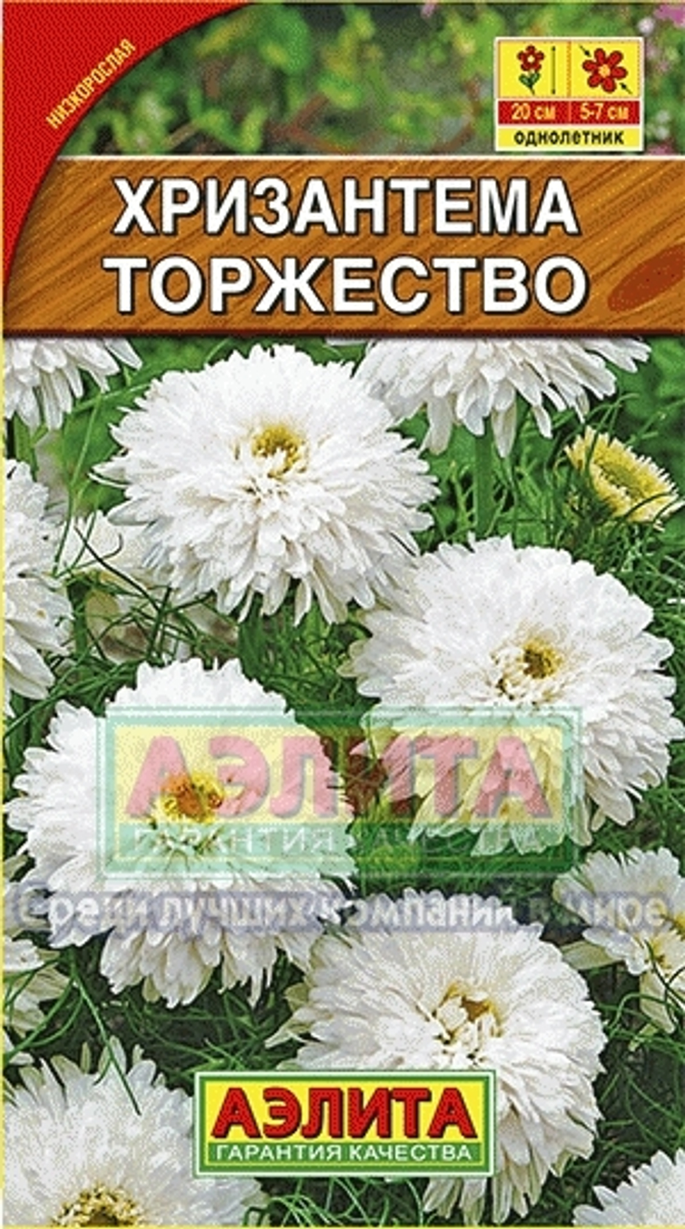 Хризантема Торжество букетная 0,1гр Аэлита