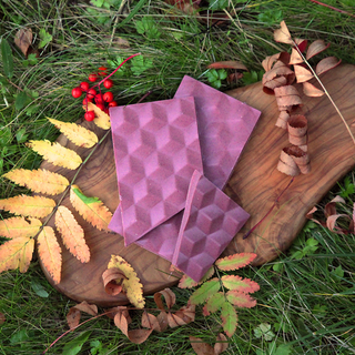 Рубиновый шоколад с брусникой, корицей и перцем чили "ЧĒХХЧ" (Осень) (100 г)