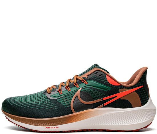 Кроссовки Nike Air Zoom Pegasus 39 "A.I.R. Hola Lou"
