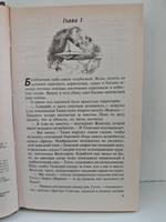 Выбор завоевателя