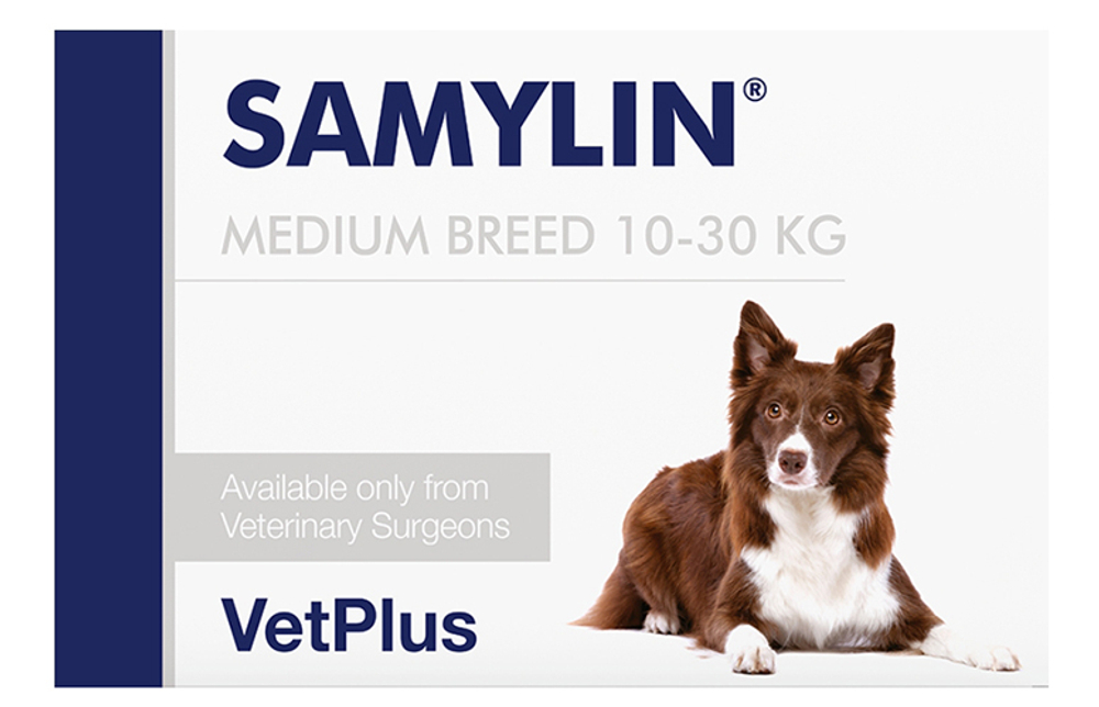 VetPlus Samylin - Самилин для средних пород собак, таблетки