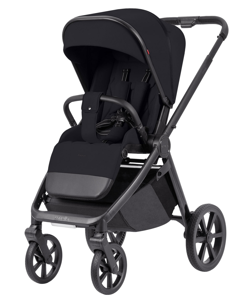 Коляска 2 в 1 Carrello Omega+ CRL-6540/1