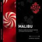 Табак для кальяна JENT Classic с ароматом Конфеты &quot;Малибу&quot; (Malibu), 25 гр