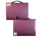 Папка-портфель на застежке Alingar, А4 360х265х40 мм, пластиковая, 800 мкм, ассорти, матовая, карман для визитки, "Flossy"