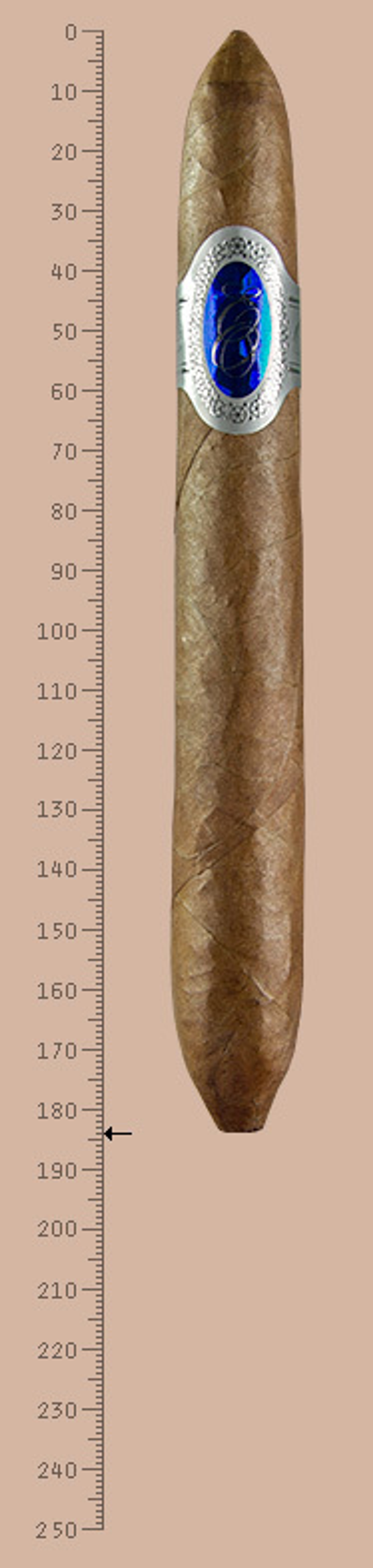 Евгений Онегин №3 - Salomon